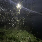 Фото отзыва