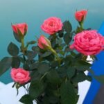 Фото отзыва