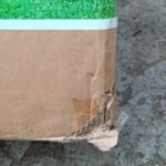 Фото отзыва